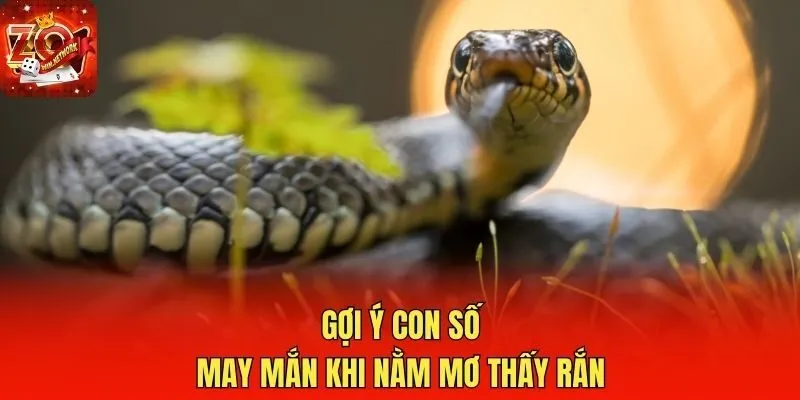Gợi ý con số may mắn khi nằm mơ thấy rắn