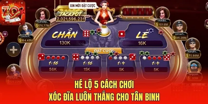 Hé lộ 5 cách chơi Xóc Đĩa luôn thắng cho tân binh