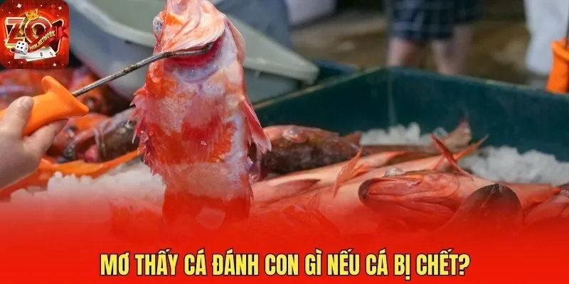 Mơ thấy cá đánh con gì nếu cá bị chết?